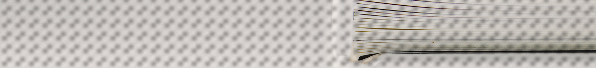 sub_visual10